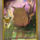 Voorkant van Pikachu 005/025 Rare uit McDonald's Collection 2021
